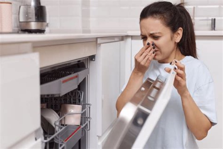 Why does my LG dishwasher smell so bad?