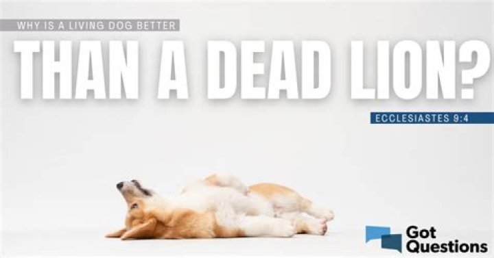 Why is a living dog better than a dead lion (Ecclesiastes 9:4)?