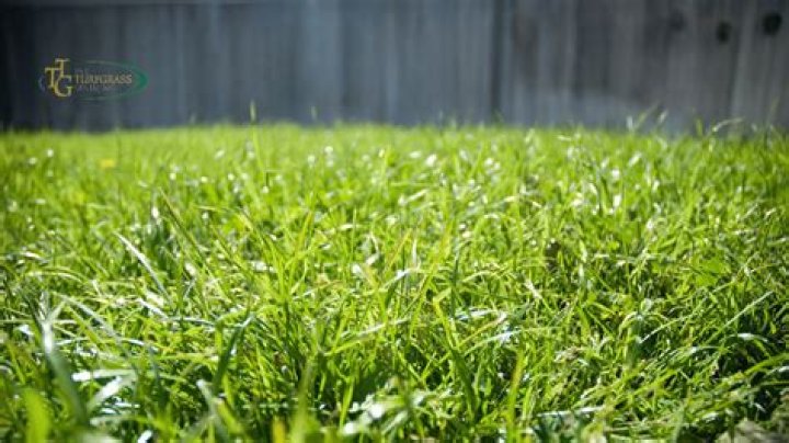 Will Bermuda grass grow in Ohio?