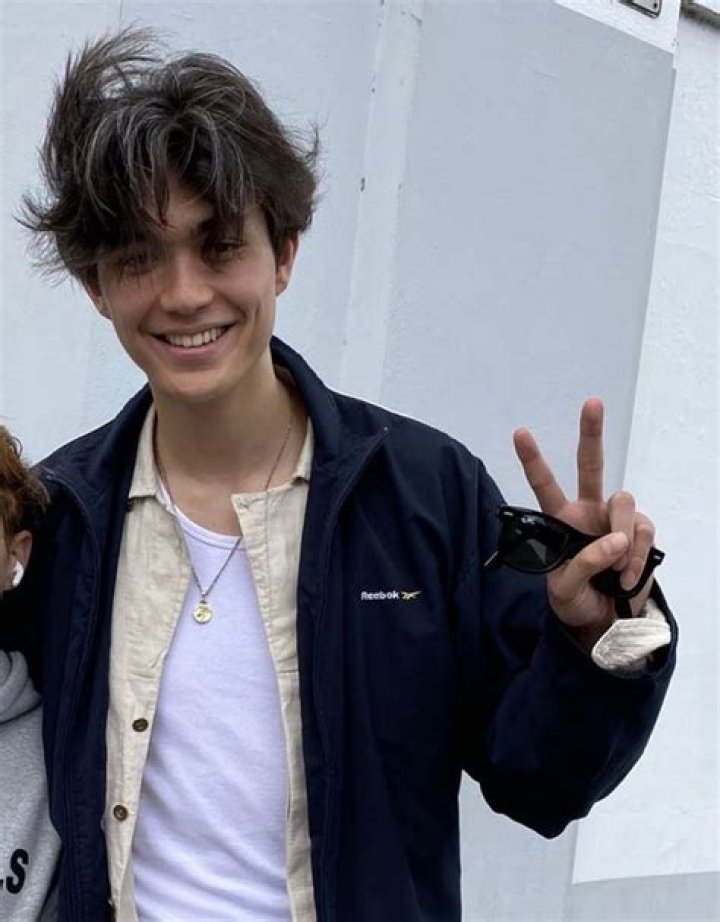 William Gao Bio (Wiki) 