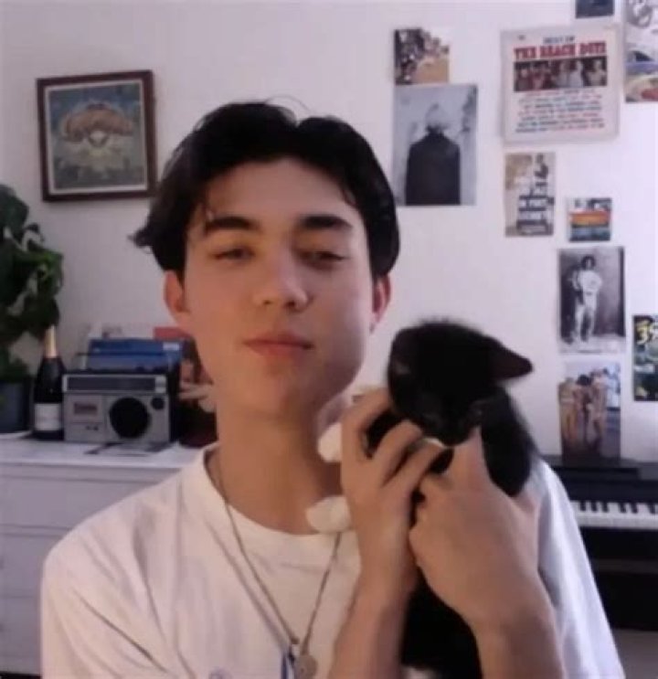 William Gao Pets - Celebrity Pets