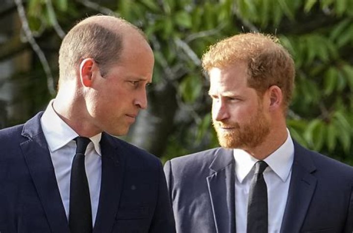 Wootton: Prince William is ‘engulfed by catatonic rage’ towards Prince Harry