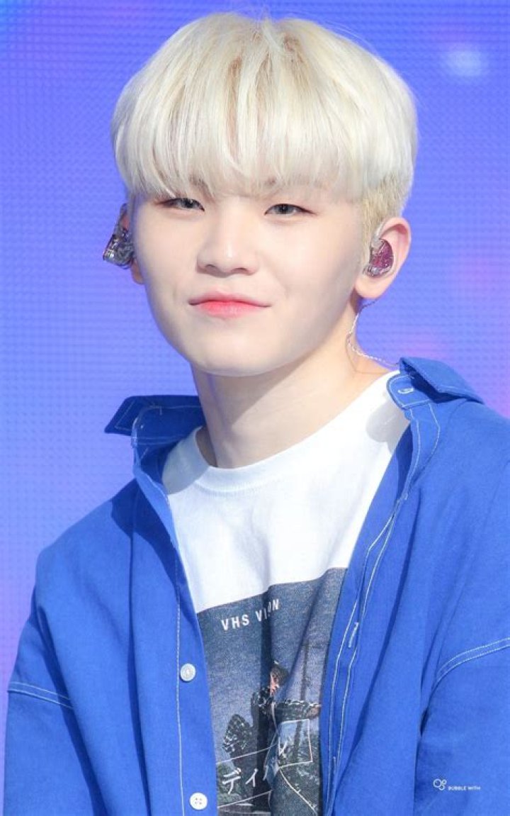 Woozi Bio (Wiki) 