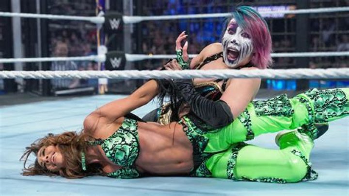 WWE Wrestler, Asuka Husband And Net Worth