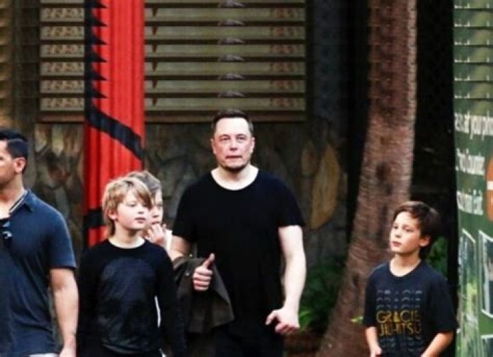 Xavier Musk Bio (Wiki) 